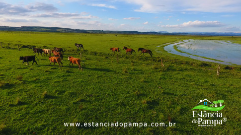 DOS EÓLICOS VIRA P FAZENDA_Moment.00_03_37_01.Quadro243_60e605cdba23f3d1537fc285dfb47b1d121edf25.jpg